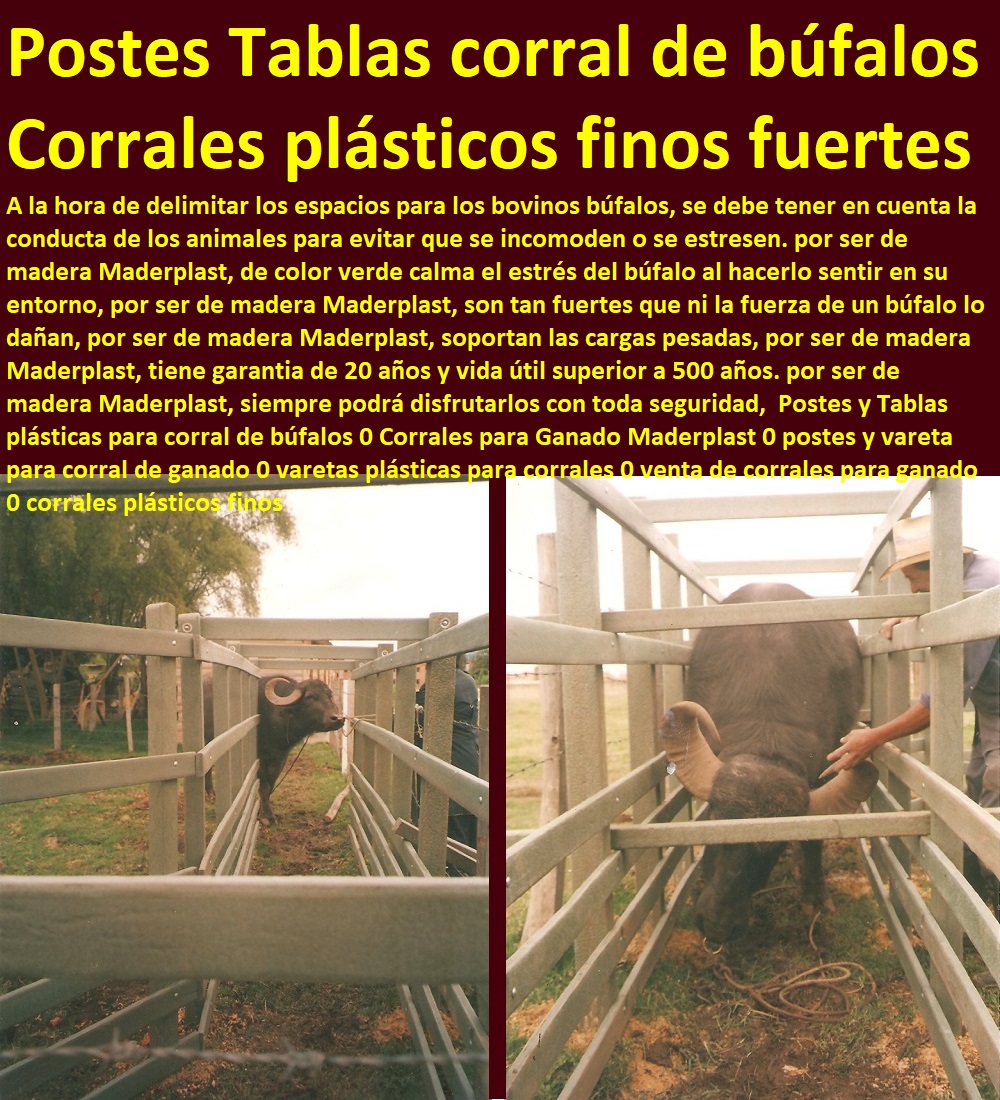Postes y Tablas plásticas para corral de búfalos 0 Corrales para Ganado Maderplast 0 postes y vareta para corral de ganado 0 varetas plásticas para corrales 0 venta de corrales para ganado 0 corrales plásticos finos Postes y Tablas plásticas para corral de búfalos 0 Corrales para Ganado Maderplast 0 postes y vareta para corral de ganado 0 varetas plásticas para corrales 0 venta de corrales para ganado 0 corrales plásticos finos Postes y Tablas plásticas para corral de búfalos 0 Corrales para Ganado Maderplast 0 postes y vareta para corral de ganado 0 varetas plásticas para corrales 0 venta de corrales para ganado 0 corrales plásticos finos